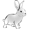 rabbit rabbit