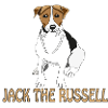Jack Russell