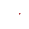 Reindeer Christmas
