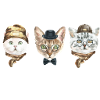 Cats cats