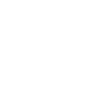 Lignes géométriques Oiseaux Minimal Design