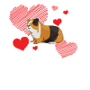 I Love Guinea Pigs