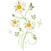 Daisies Wildflowers Summer
