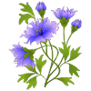 Blumen