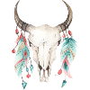 Animal Skull with feathers.