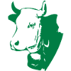 vache