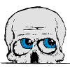 skull_courious_3colours