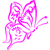 Schmetterling