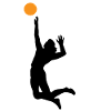 volleyball