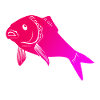 Aquarium fish