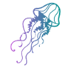 jellyfish