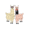 WEDDING LAMA ALPACA MARRIAGE