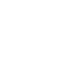 Cadeau avion MiG 21