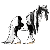 Irish Tinker Pferd - Pinto