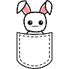 lapin dans une poche