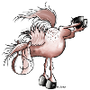 Appaloosa - - Cheval - dessin animé