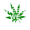 ln Weed We Trust