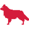 Australian Shepherd mit Rute