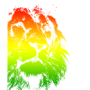 Lion's head