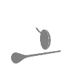 Koch