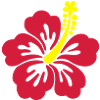 hibiscus tahiti