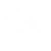 table tennis