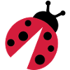 Ladybug