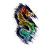 Drache Dragon