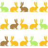 rabbit rabbit pet