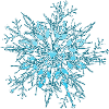 Snowflake / flocon de neige