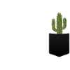 Cactus - Pocket Shirt