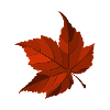 Maple leaf, autumn, foliage, leaves