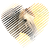 Chevaux