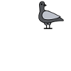 Être comme une colombe
