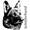 German Shepherd,Dog head,Dog sport,Watchdog,Dogs