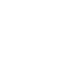 1981 Birthday Number Year