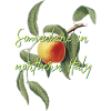 Somewhere in northern Italy | Call Me By Your Name| movie
