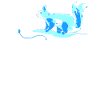 Eichhörnchen Eichhörnchen