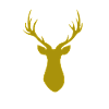 Cerf Bois d’or