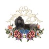 Cute poodle with flowers