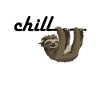 cool chilled sloth