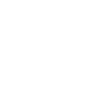 SQL Injection