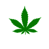 weed