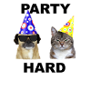 Party Party Hard Gift