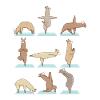 Alpaka Lama Yoga Sport Lustig Turnen Gymnastik