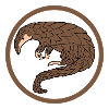 Pangolin pine cone animal