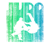judo