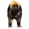 Bananarama