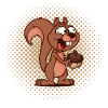 squirrel