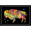 bison